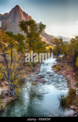 Kayenta Weg entlang des Virgin River im Zion National Park in Utah. Stockfoto