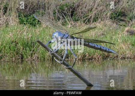 Edelstahl Dragonfly Skulptur, Hatton Schlösser, Warwickshire Stockfoto
