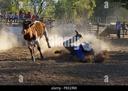 Cowboy fällt zu Boden nach Bekämpfung eines Steer, Fitzroy Crossing, Kimberley, Nordwesten Australien | Verwendung weltweit Stockfoto