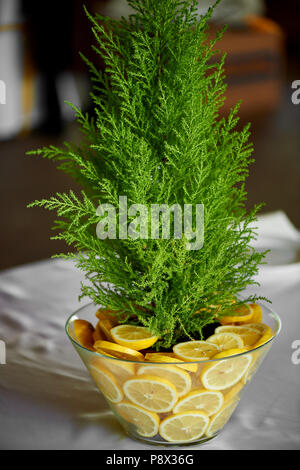 In Cypress eine Vase mit Zitronen eingerichtet. Frisch und saftig Kombination. Tischdekoration bei der Hochzeit. Stockfoto