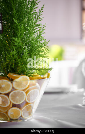 In Cypress eine Vase mit Zitronen eingerichtet. Frisch und saftig Kombination. Tischdekoration bei der Hochzeit. Stockfoto