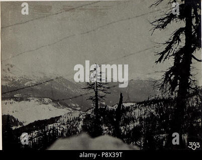 61 Blick aus dem Schützengraben bin Burgstall gegen Col Quaternà und Col Rosson. (BildID) 15583108 Stockfoto