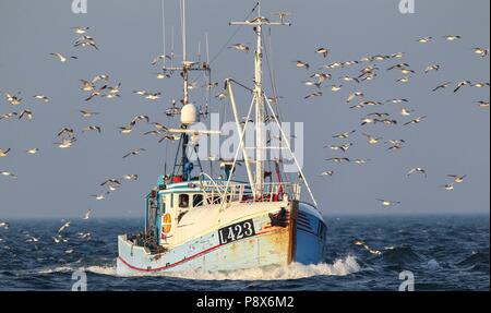 Angeln Boot umgeben von großen Fliegen Herde von Möwen, die vor allem aus europäischen Silbermöwe (Larus argentatus) sowie einige Gull-mantelmöwe (Larus marinus), Heringsmöwe (Larus fuscus) und Sturmmöwe (Larus canus) Nordsee, offs | Verwendung weltweit Stockfoto