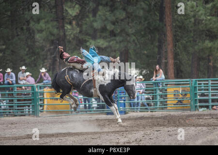 Rodeo-Bareback - Lukas Creasy reiten Candy Man wilder Action auf Ruckeln bronc, saddleless. Stockfoto