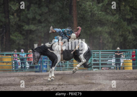 Rodeo-Bareback - Lukas Creasy reiten Candy Man wilder Action auf Ruckeln bronc, saddleless. Stockfoto