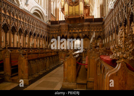 Aus Holz geschnitzte Chorgestühl in der Kathedrale von Norwich, Norfolk, England Stockfoto