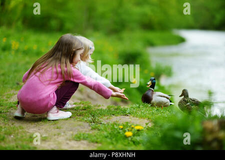 Zwei bezaubernde Schwestern füttern Enten an einem Fluss im Sommer Stockfoto