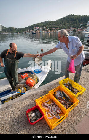 Fischer Verkauf der Morgen fangen auf dem Kai in Vathy Hafen. Auf der Insel Ithaka, Ionische Meer, Griechenland Stockfoto