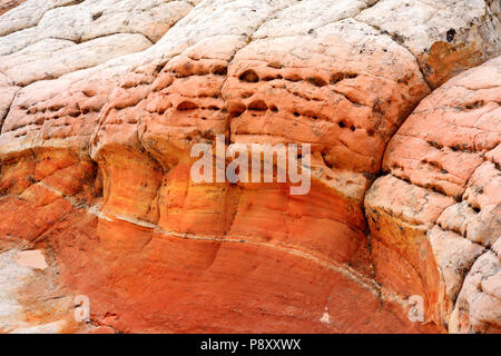 Fantastische Farben und Formen von Sandstein Felsformationen in White Pocket, Arizona, USA Stockfoto