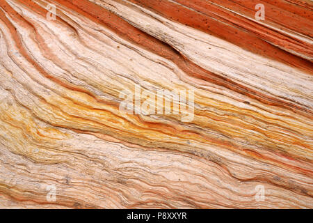 Detail der Sandstein Felsformationen in White Pocket, Arizona, USA Stockfoto