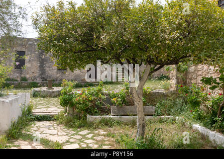 Innenhof des Kloster von Agios Ioannis Theologos, mit Rose im Vordergrund auf Kreta, Griechenland Stockfoto