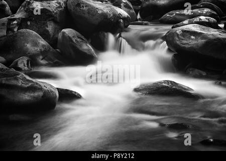 Eine fließende, lange - Exposition cascade entlang Porter Creek Trail in der Great Smoky Mountain Nationalpark in Schwarz und Weiß. Stockfoto