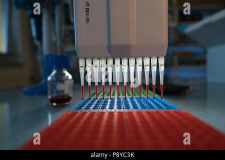 Multi Pipette und multi-well Platte. Stockfoto