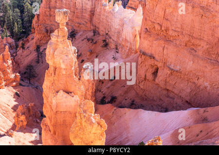 Thor's Hammer Felsformation im Bryce Canyon National Park in Utah Stockfoto