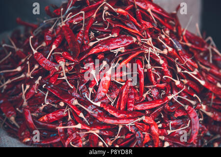 Nahaufnahme von einem großen Haufen von einem roten Paprika, scharf Würzen, hot Spice, traditionelle Ernährung von Sri Lanka Stockfoto