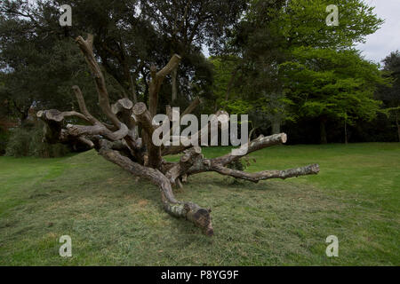 Gefällten Baumes, verwandelte sich in ein Klettergerüst für Kinder in örtlichen Park Stockfoto