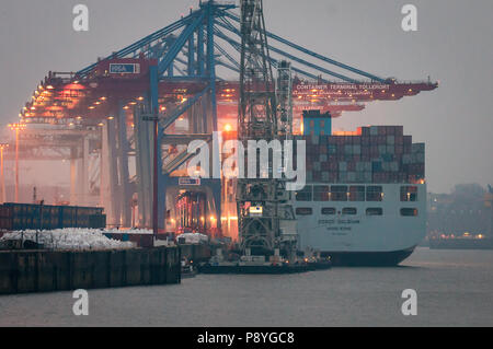 Hamburg, Deutschland - 23. Februar 2014: Containerschiff Cosco Belgien am Container Terminal Tollerort im Hamburger Hafen gewartet. Bestimmt Korn. Stockfoto