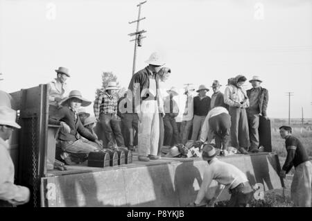 Japanisch-amerikanischen Landarbeiter verlassen Farm Security Administration (FSA) Mobile Camp zu Arbeiten in Bereichen, Nyssa, Oregon, USA, Russell Lee, Farm Security Administration, Juli 1942 Stockfoto