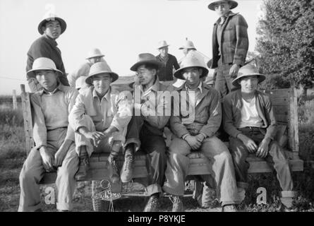 Japanisch-amerikanischen Landarbeiter verlassen Farm Security Administration (FSA) Mobile Camp zu Arbeiten in Bereichen, Nyssa, Oregon, USA, Russell Lee, Farm Security Administration, Juli 1942 Stockfoto