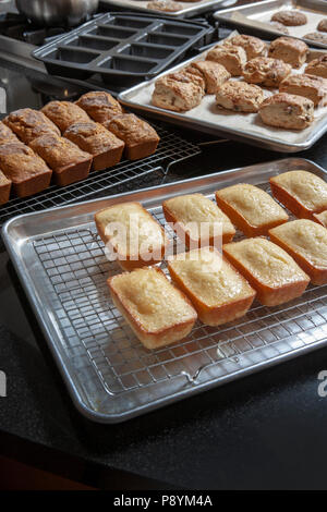 Mini Kürbis und Zitrone Brot, Gebäck und Chocolate Chip Cookies Stockfoto