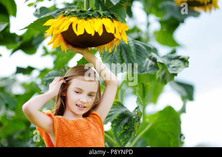 Süße kleine Mädchen zu erreichen, eine Sonnenblume im Sommer Feld Stockfoto