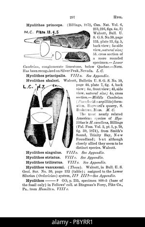 Ein Wörterbuch der Fossilien von Pennsylvania und Nachbarstaaten in die Berichte und Kataloge der Umfrage benannt (Seite 297) Stockfoto