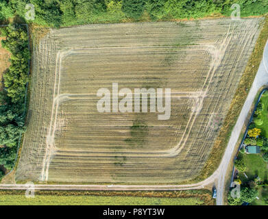 Abstrakte Luftaufnahme von einem Feld mit jungen Weizen, aus der Luft in einer Höhe von 90 Metern, mit sichtbaren Spuren von landwirtschaftlichen Geräten und Machi Stockfoto