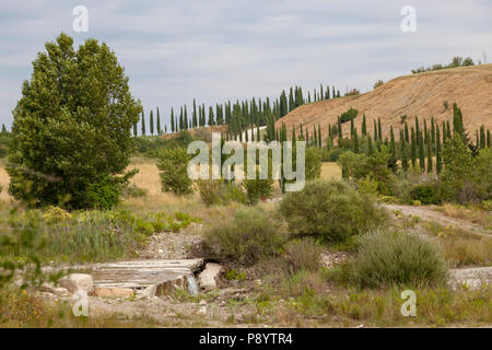 Eine typische Landschaft von Zypressen in der Nähe von Montepulciano mit der ziemlich ausgetrockneten Bett eines Flusses (Toskana, Italien). Paysage caractéristique de c Stockfoto