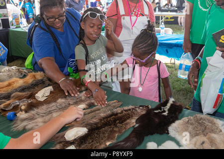 Detroit, Michigan - Tierische Häute von der Michigan Ministerium für natürliche Ressourcen in Metro Detroit Jugend Tag angezeigt. Tausende von Kindern im Alter von 8-15 Stockfoto