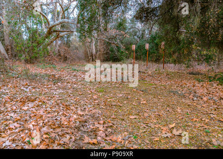 Bat Kisten hoch in den Wald Stockfoto