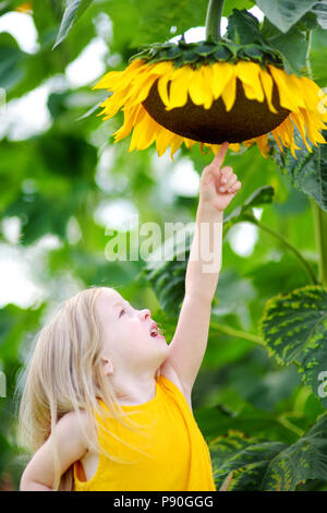 Süße kleine Mädchen zu erreichen, eine Sonnenblume im Sommer Feld Stockfoto