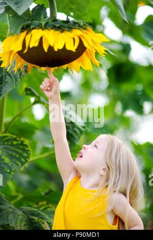 Süße kleine Mädchen zu erreichen, eine Sonnenblume im Sommer Feld Stockfoto