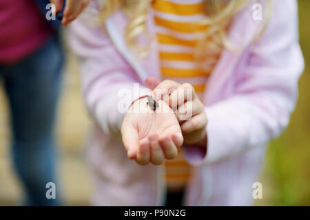 Adorable kleine Mädchen auffällig wenig babyfrogs auf schönen Sommertag im Wald Stockfoto