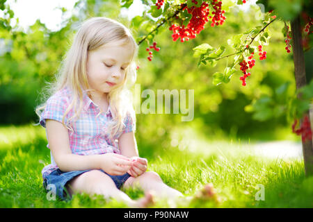 Süße kleine Mädchen Kommissionierung rote Johannisbeeren in einem Garten an warmen und sonnigen Sommer Tag Stockfoto