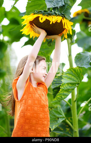 Süße kleine Mädchen zu erreichen, eine Sonnenblume im Sommer Feld Stockfoto