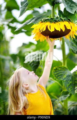 Süße kleine Mädchen zu erreichen, eine Sonnenblume im Sommer Feld Stockfoto