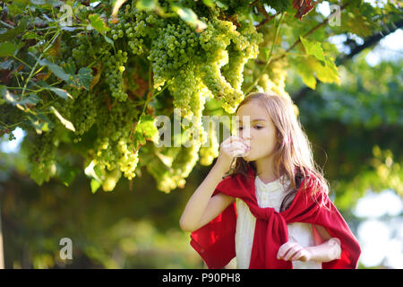 Süße kleine Mädchen Ernte Trauben in einem Weinberg. Kind essen frische reife Trauben der Rebsorte Obstgarten im Herbst. Stockfoto