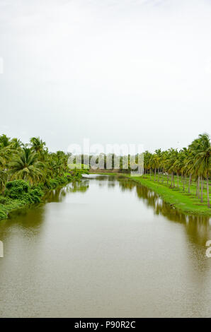Spiegel flachen Gewässern von Sal Fluss gesäumt von Kokospalmen entlang der Ufer. Die Sal backwaters sind wirklich ein Teil von einer unsichtbaren Goa. Stockfoto