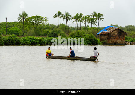 Drei Männer auf eine Kanufahrt auf dem Fluss Sal backwaters von Joe's River Cove, Cavelossim, Goa, Indien Stockfoto