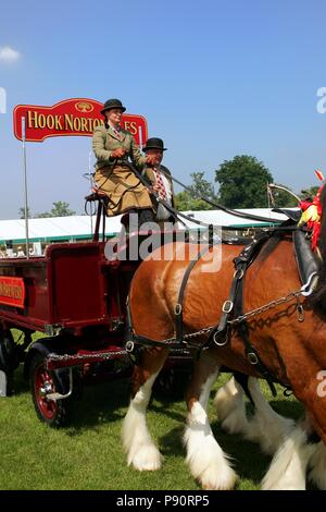Guildford, England - 28. Mai 2018: Dray oder offenen hölzernen Wagen vom Hook Norton Brauerei, wird von zwei bay Shire pferde in traditionellen Gewaehrleistung gezogen Stockfoto