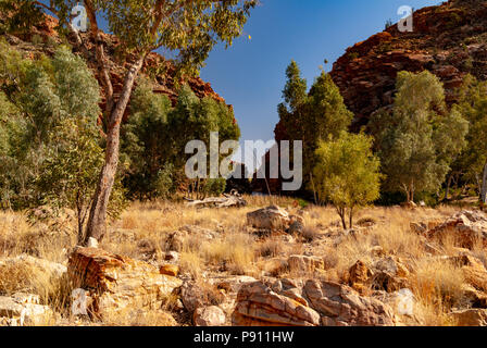 Ellery Creek Big Hole, West MacDonnell Ranges und National Park, in der Nähe von Alice Springs, Northern Territories, Australien Stockfoto