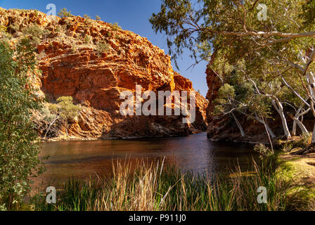 Ellery Creek Big Hole, West MacDonnell Ranges und National Park, in der Nähe von Alice Springs, Northern Territories, Australien Stockfoto