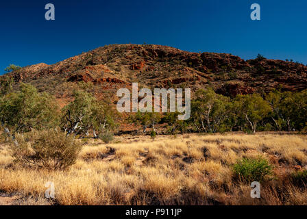 Ellery Creek Big Hole, West MacDonnell Ranges und National Park, in der Nähe von Alice Springs, Northern Territories, Australien Stockfoto