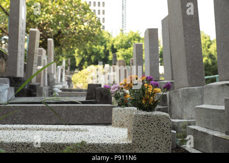 Friedhof in Hong Kong Downtown an einem sonnigen Tag Stockfoto