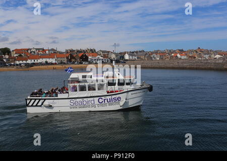 Seafari Explorer Abfahrt Anstruther Fife Schottland Juli 2018 Stockfoto