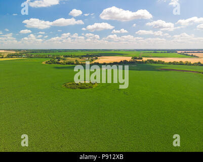 Blick von oben auf die landwirtschaftliche Felder in Russland. Juli Stockfoto