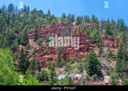 Landschaft um Telluride, Colorado, am Highway 145 Stockfoto