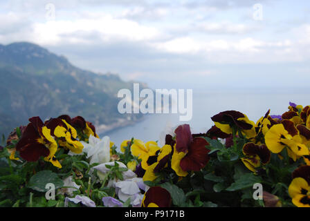 Bunte Stiefmütterchen Blumen in Blumenbeeten der Gärten von Ravello, Amalfi Küste, Italien Stockfoto