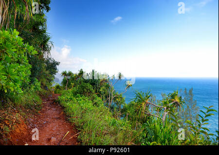 Einen atemberaubenden Blick auf die berühmte Kalalau Trail entlang der Na Pali Küste der Insel Kauai in Hawaii Stockfoto