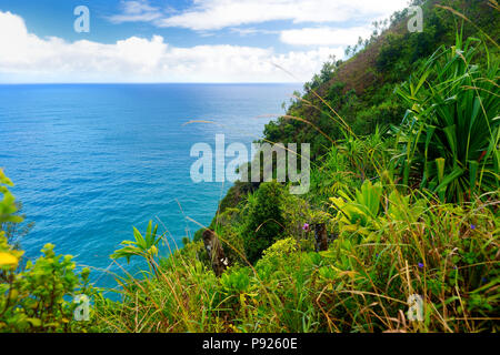 Einen atemberaubenden Blick auf die berühmte Kalalau Trail entlang der Na Pali Küste der Insel Kauai in Hawaii Stockfoto